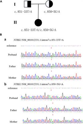 A novel NTRK1 splice site variant causing congenital insensitivity to pain with anhidrosis in a Chinese family